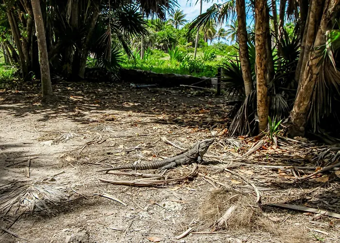 Casa de férias Aldea Savia C-31 Tulum
